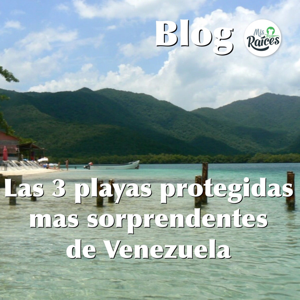 Las 3 playas protegidas más sorprendentes de Venezuela