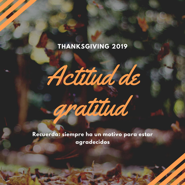 Día de Acción de Gracias desde mi perspectiva en New York